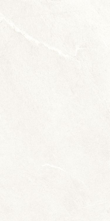 Dhara White Matte 24 x 48